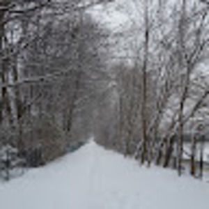 Meet your Posher, Idy